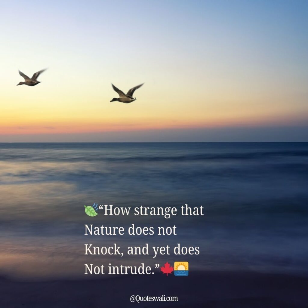 Nature Love Quotes for Instagram