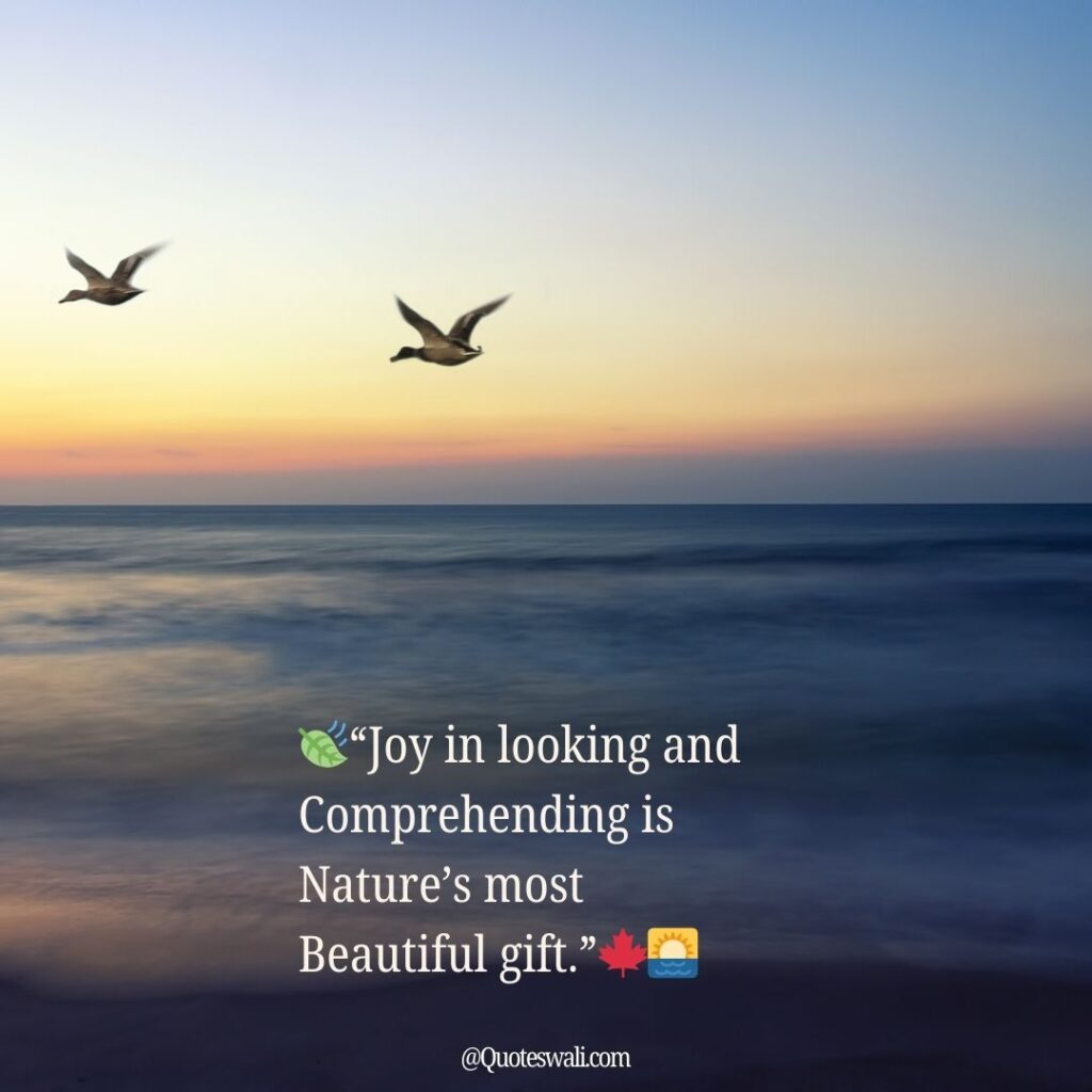 Nature Love Quotes for Instagram