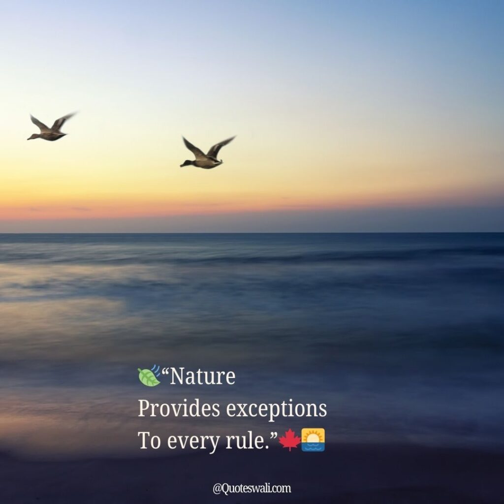 Nature Love Quotes for Instagram