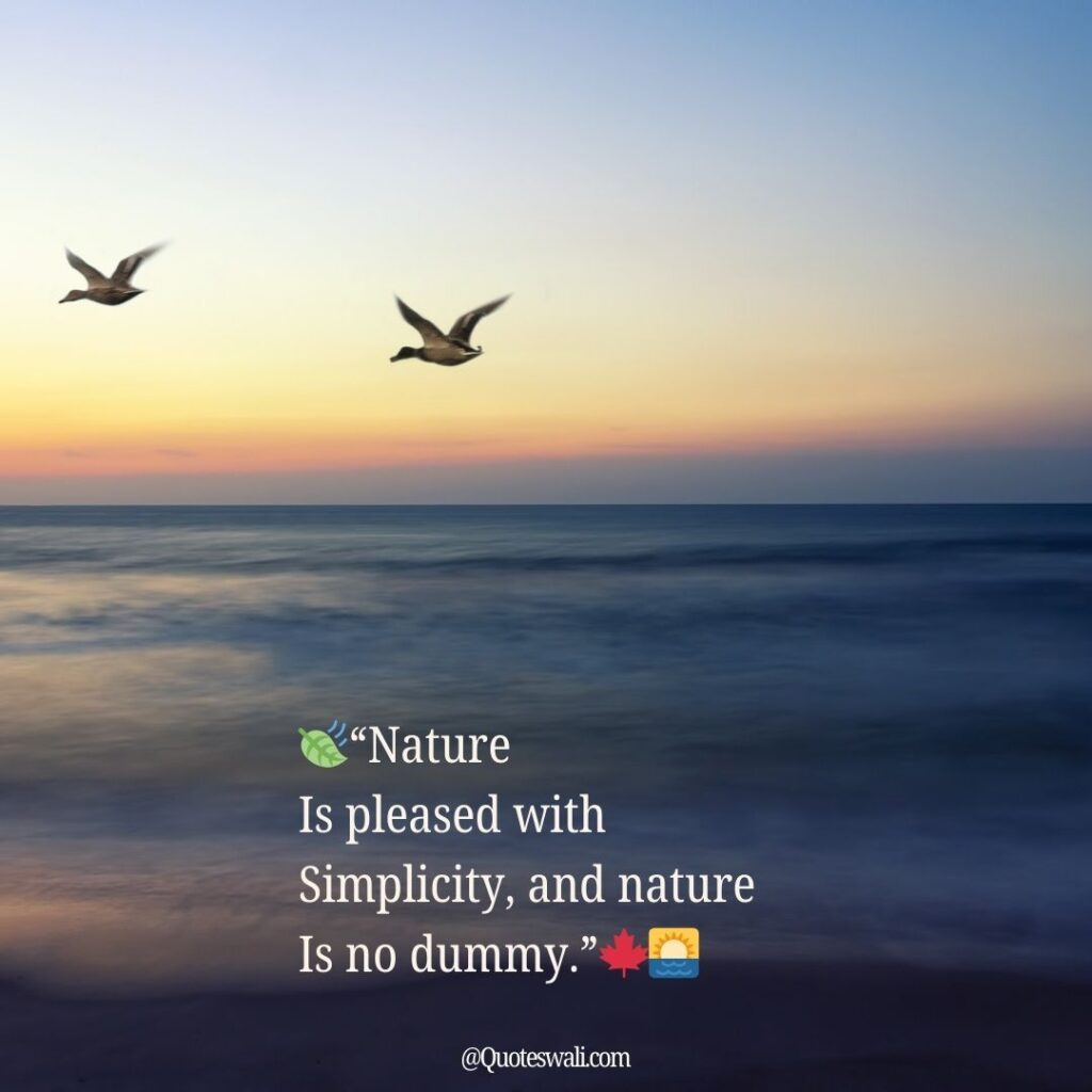 Nature Love Quotes for Instagram