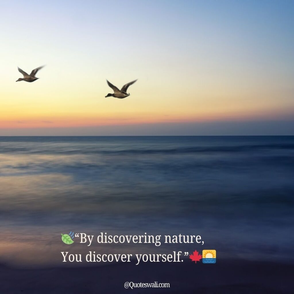 Nature Love Quotes for Instagram