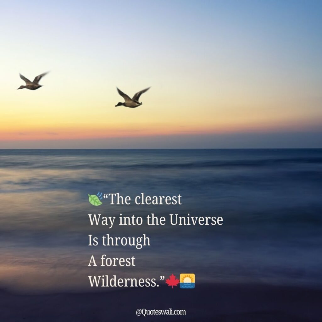 Nature Love Quotes for Instagram