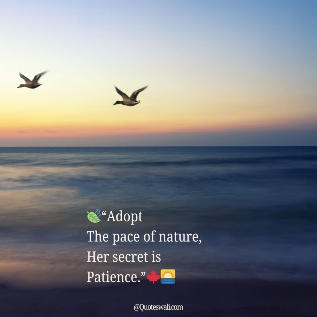 Nature Love Quotes for Instagram
