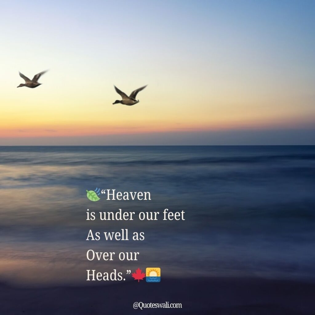 Nature Love Quotes for Instagram