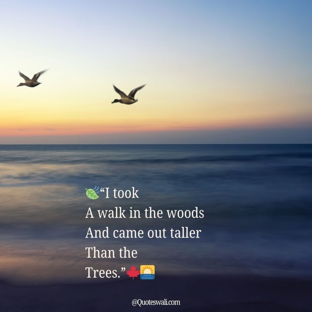 Nature Love Quotes for Instagram