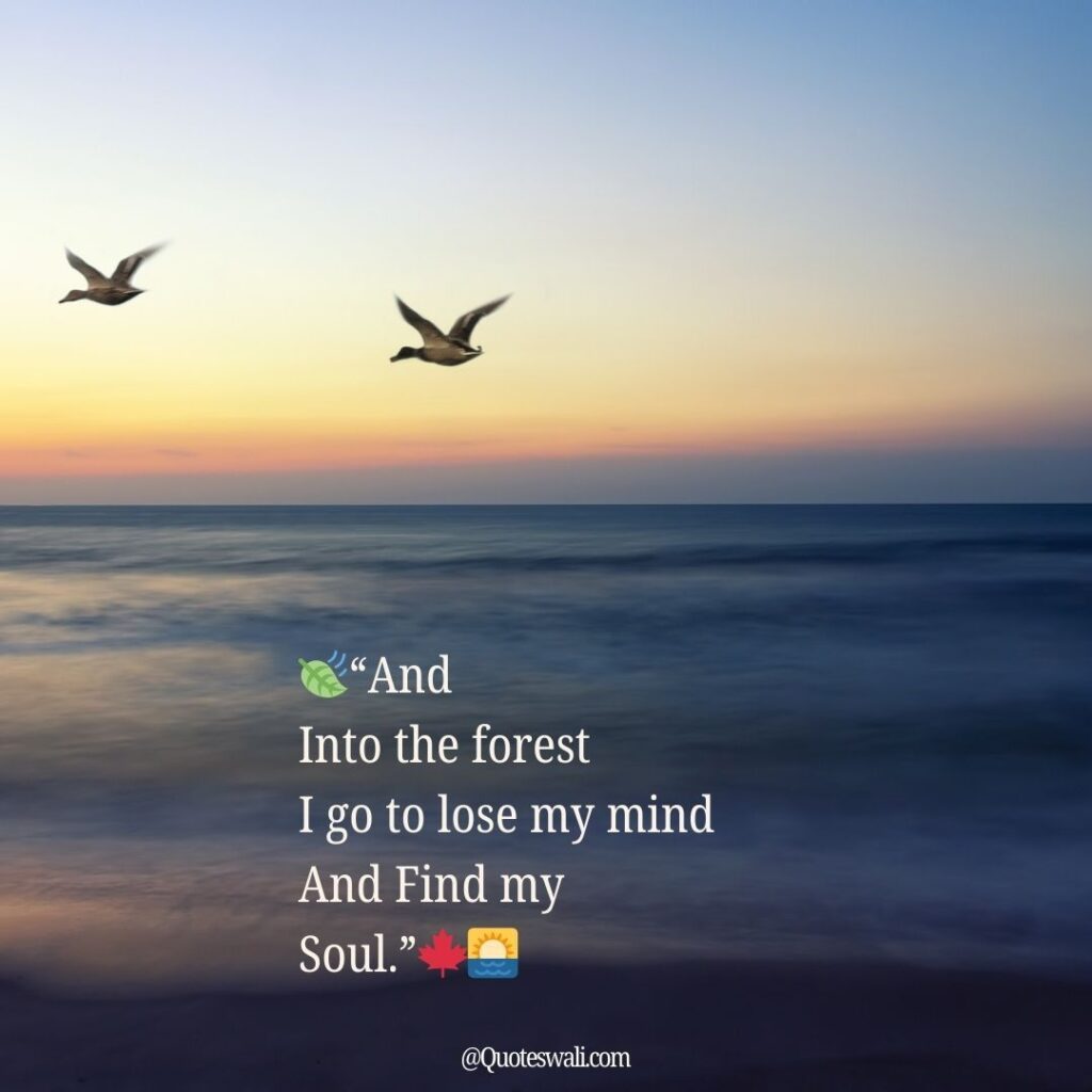 Nature Love Quotes for Instagram