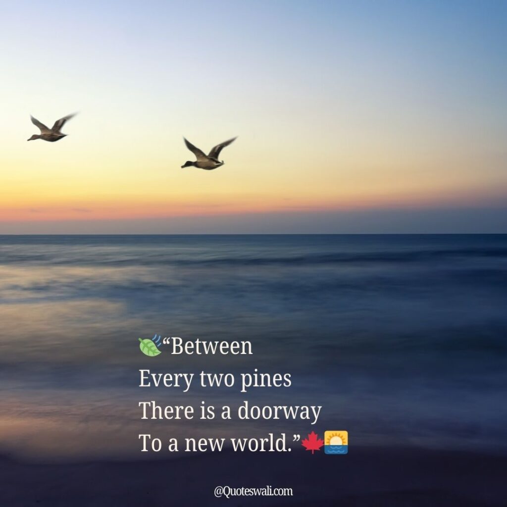 Nature Love Quotes for Instagram