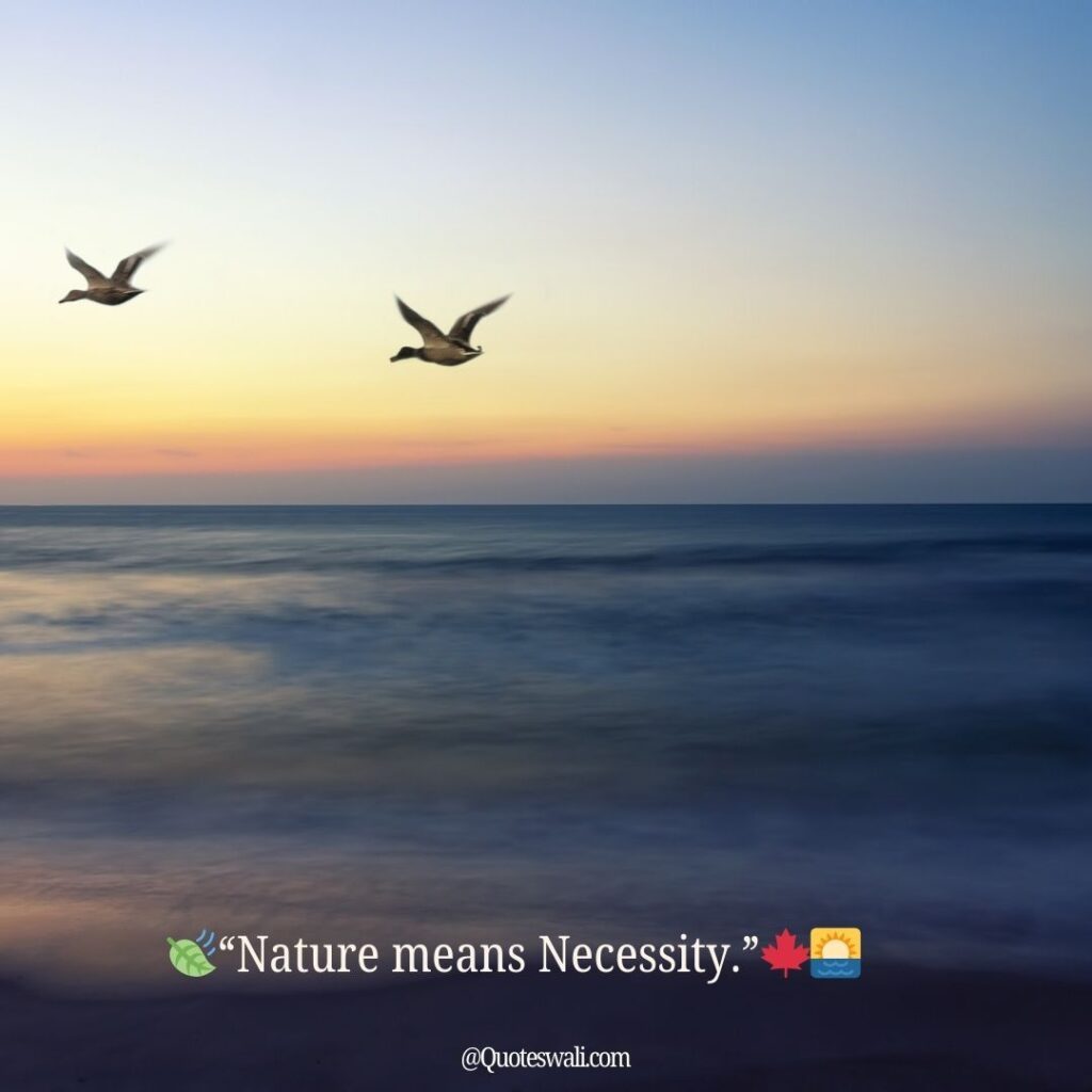 Nature Love Quotes for Instagram