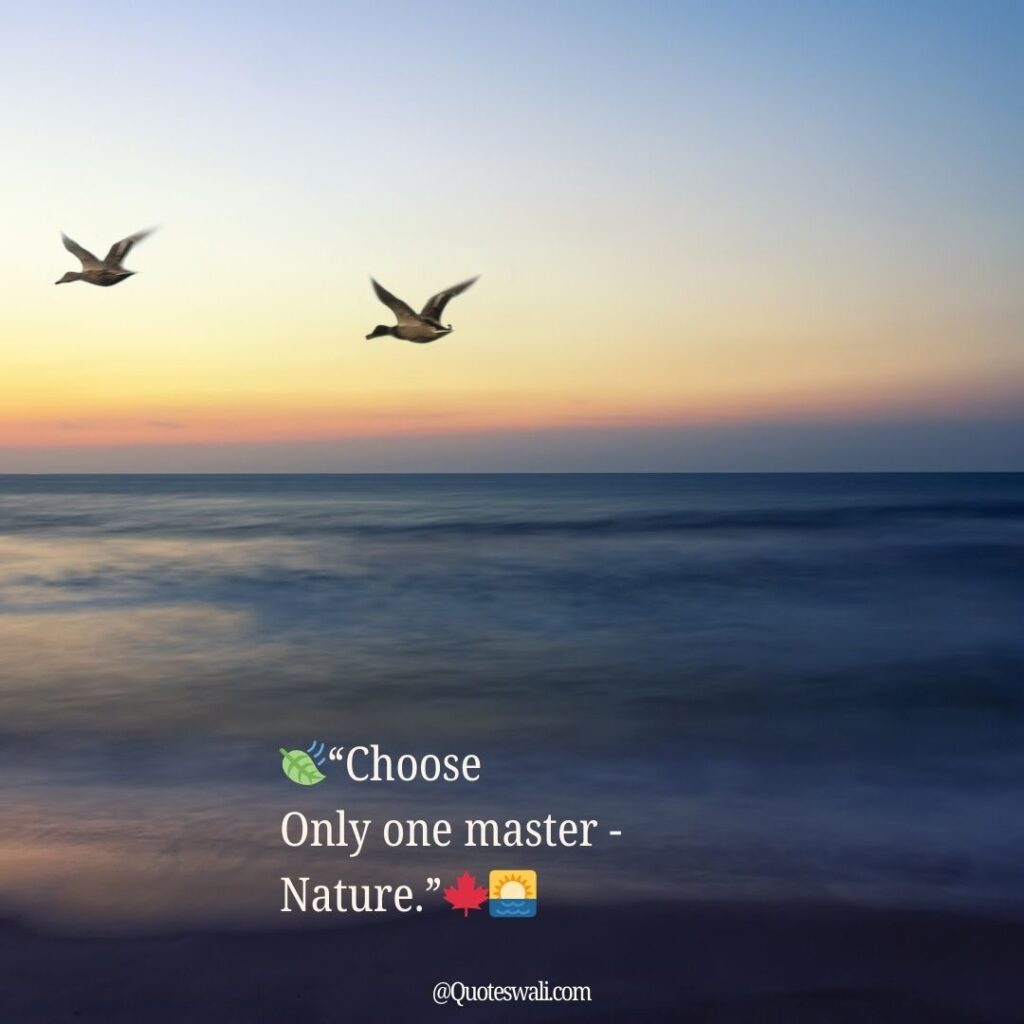 Nature Love Quotes for Instagram