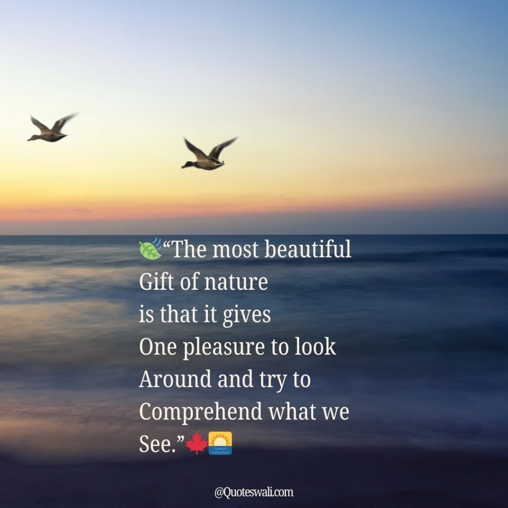 Nature Love Quotes for Instagram