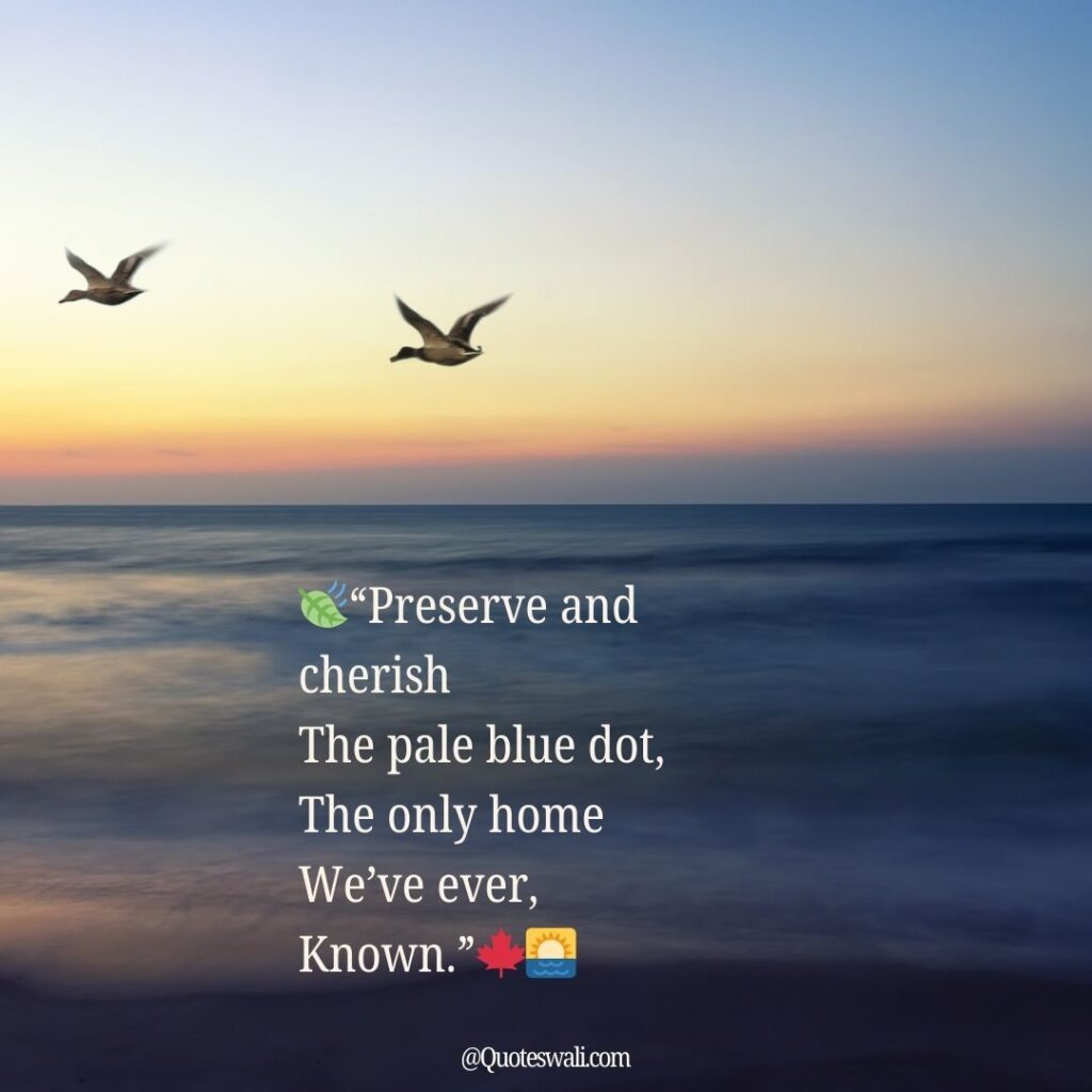 Nature Love Quotes for Instagram