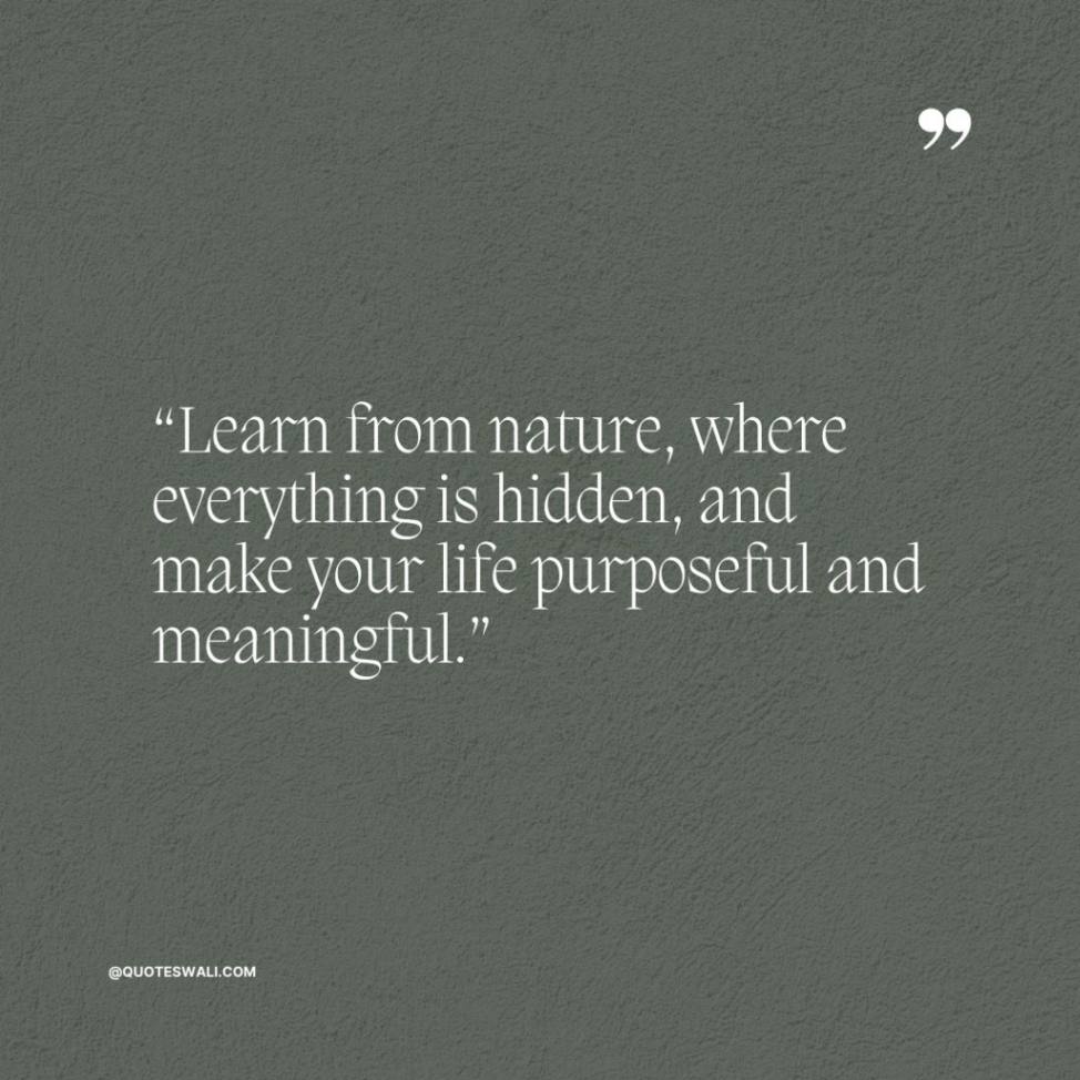 Inspirational Positive Thinking Abdul Kalam Quotes