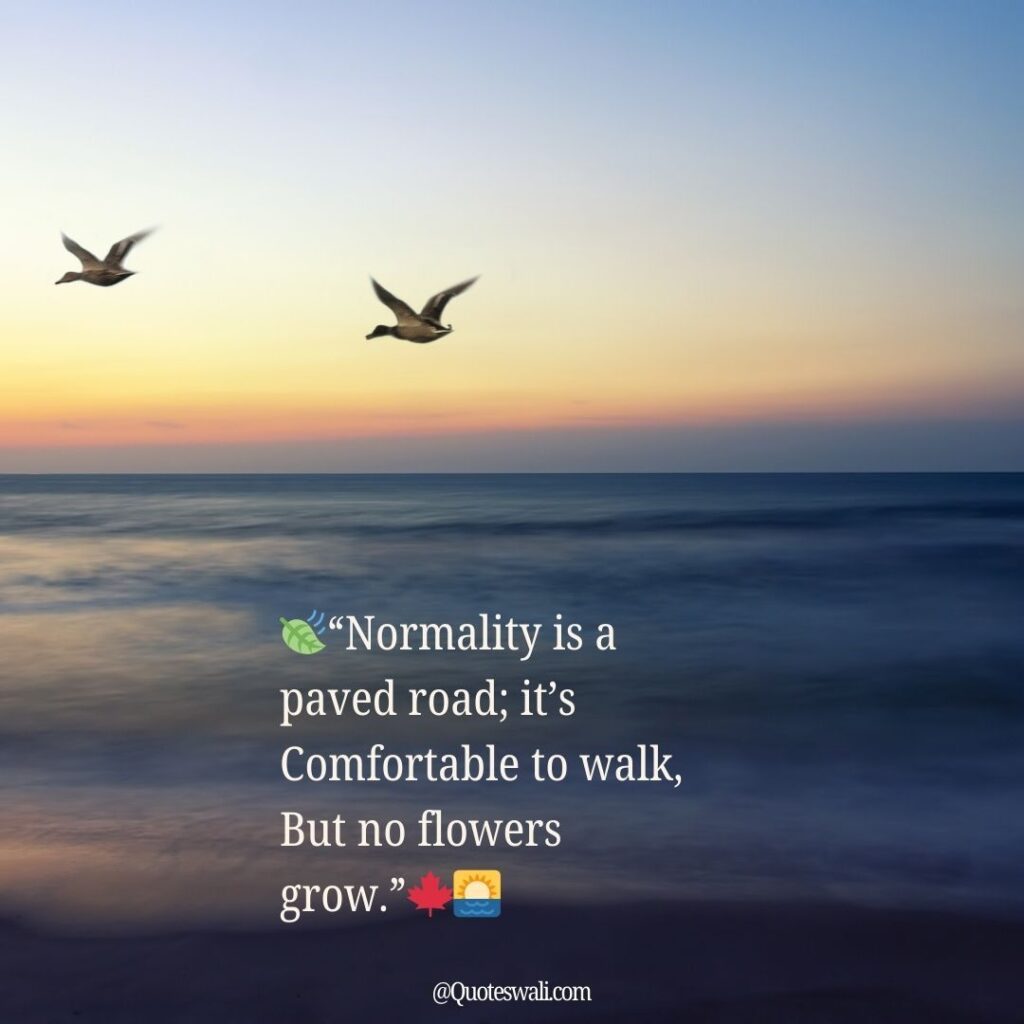 Nature Love Quotes for Instagram
