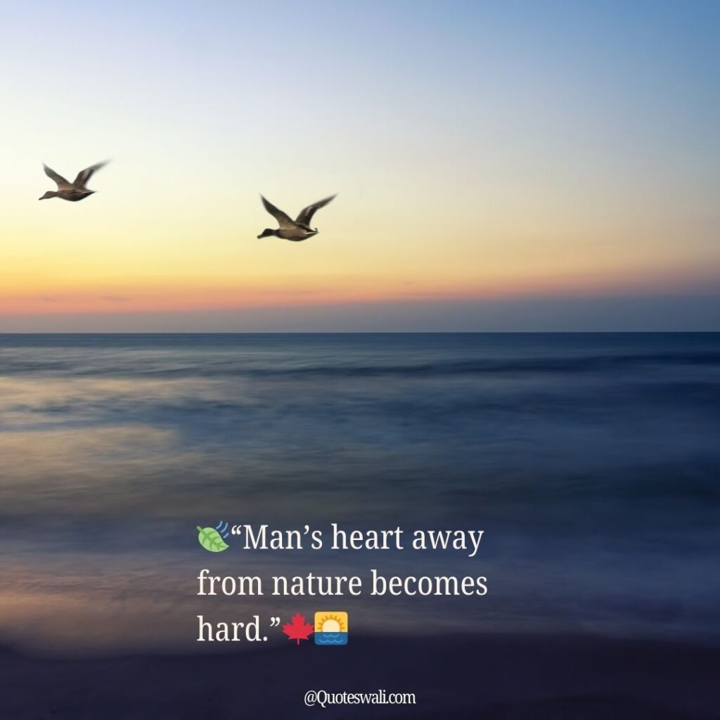 Nature Love Quotes for Instagram