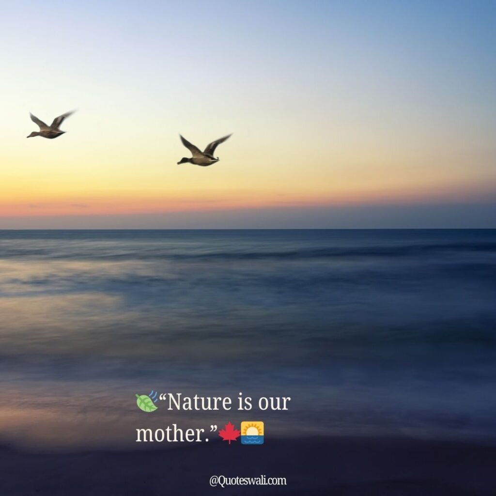 Nature Love Quotes for Instagram