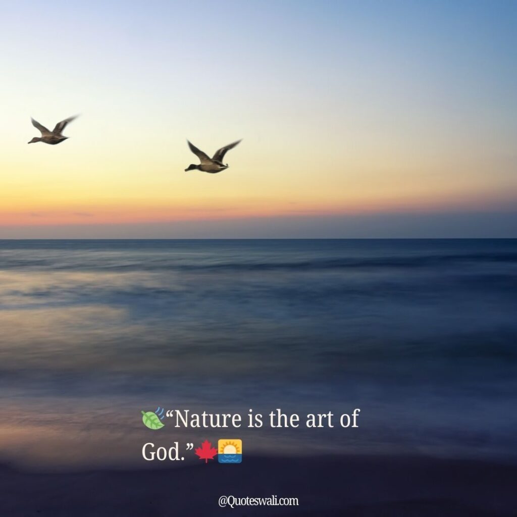 Nature Love Quotes for Instagram
