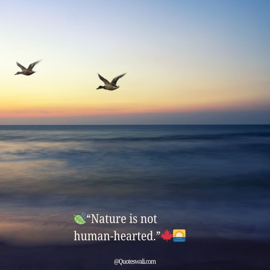 Nature Love Quotes for Instagram