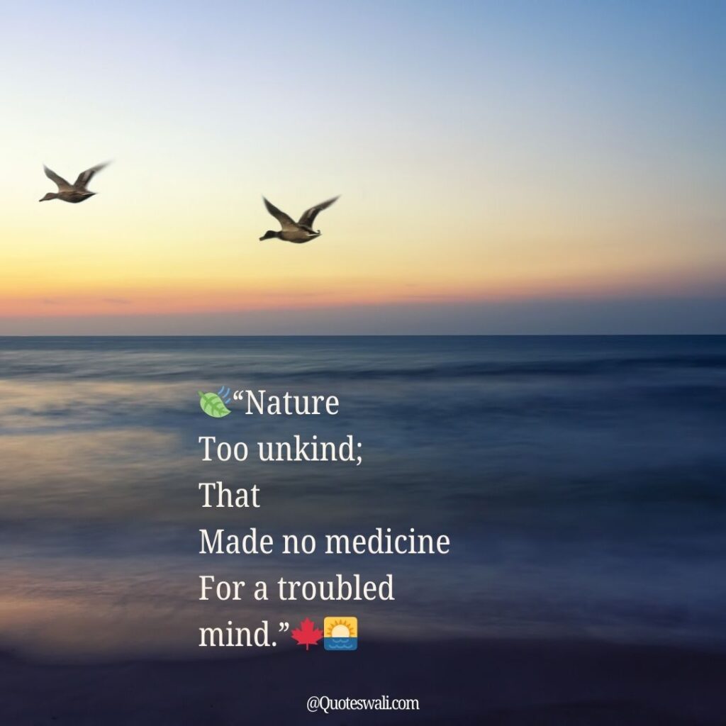 Nature Love Quotes for Instagram