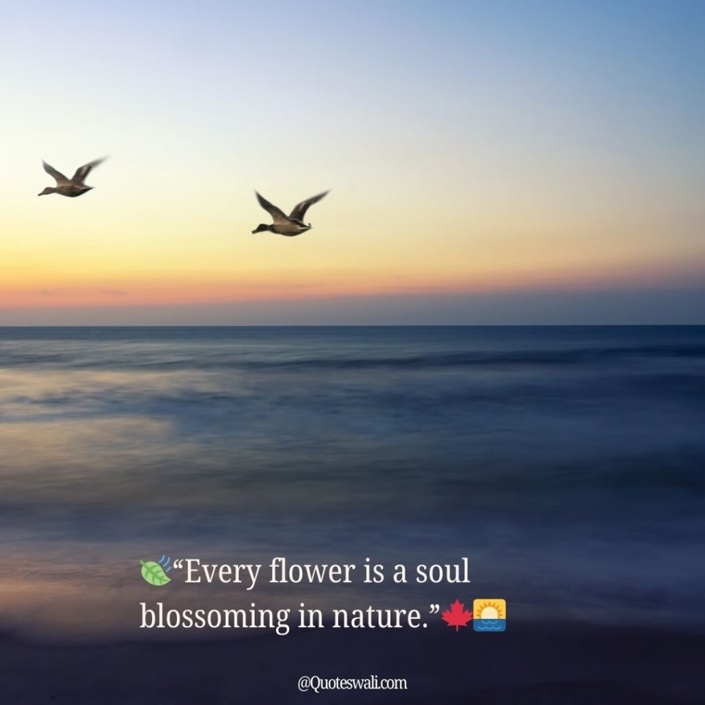 Nature Love Quotes for Instagram