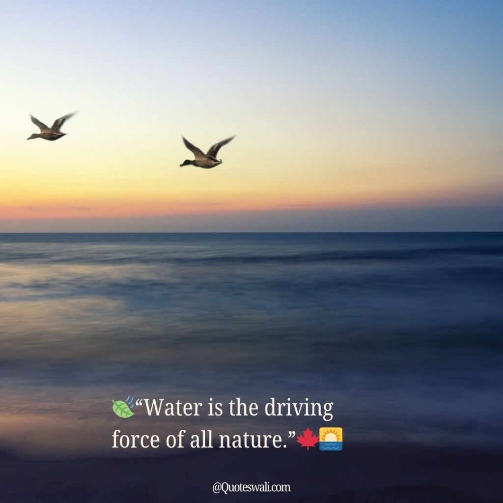 Nature Love Quotes for Instagram
