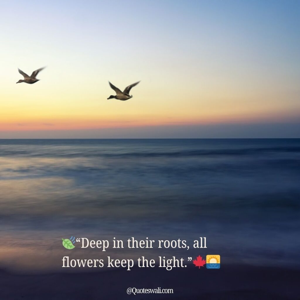 Nature Love Quotes for Instagram