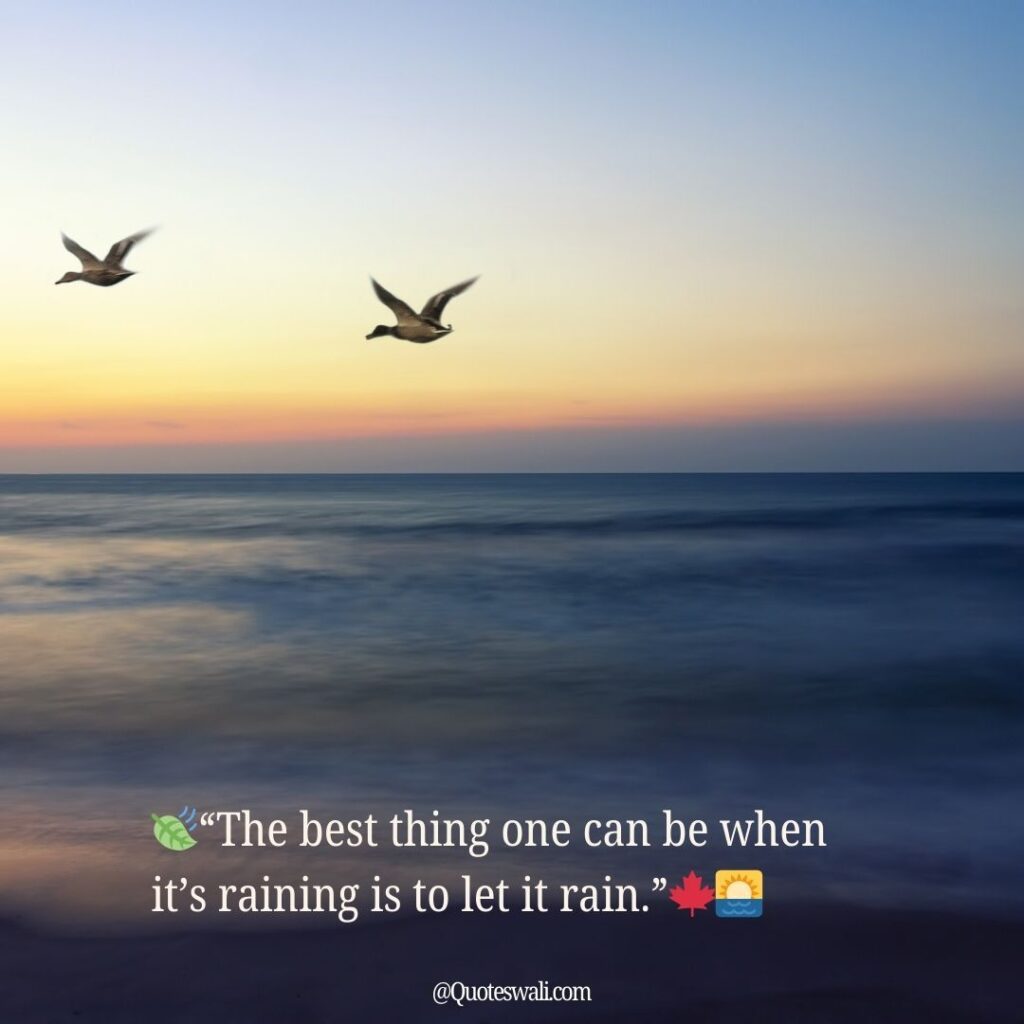 Nature Love Quotes for Instagram