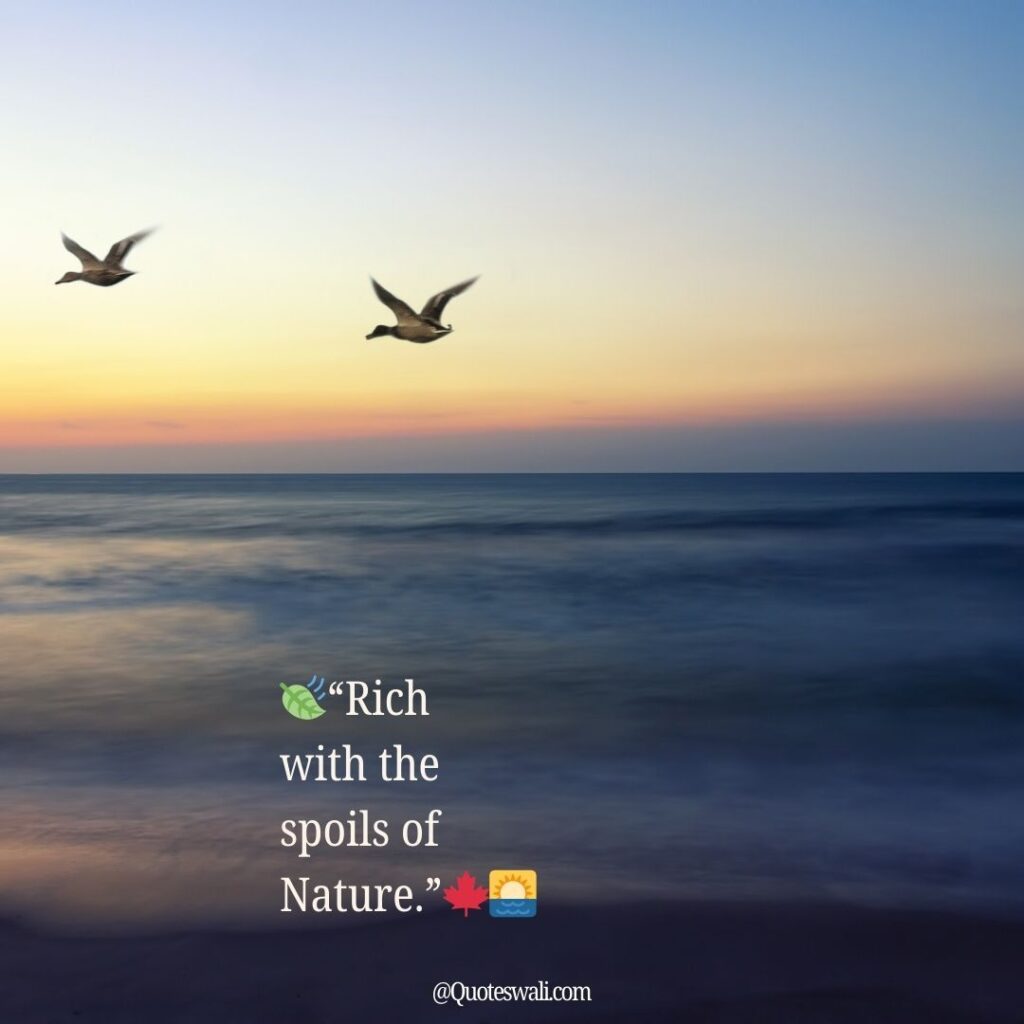 Nature Love Quotes for Instagram
