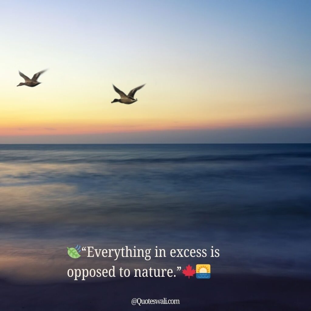 Nature Love Quotes for Instagram