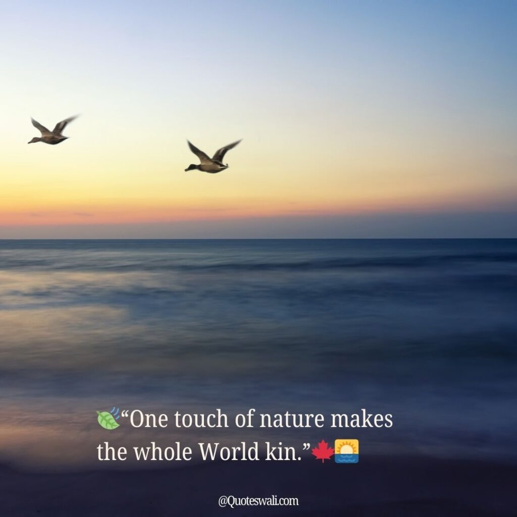 Nature Love Quotes for Instagram