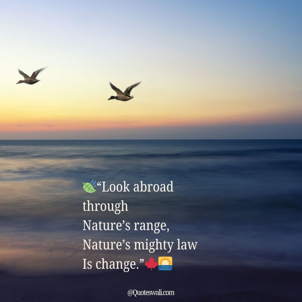 Nature Love Quotes for Instagram