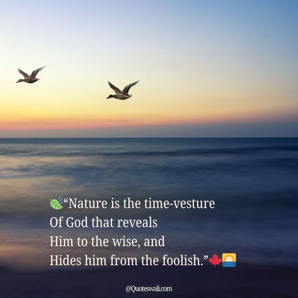 Nature Love Quotes for Instagram