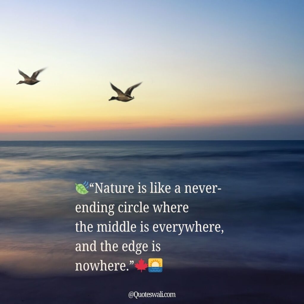 Nature Love Quotes for Instagram