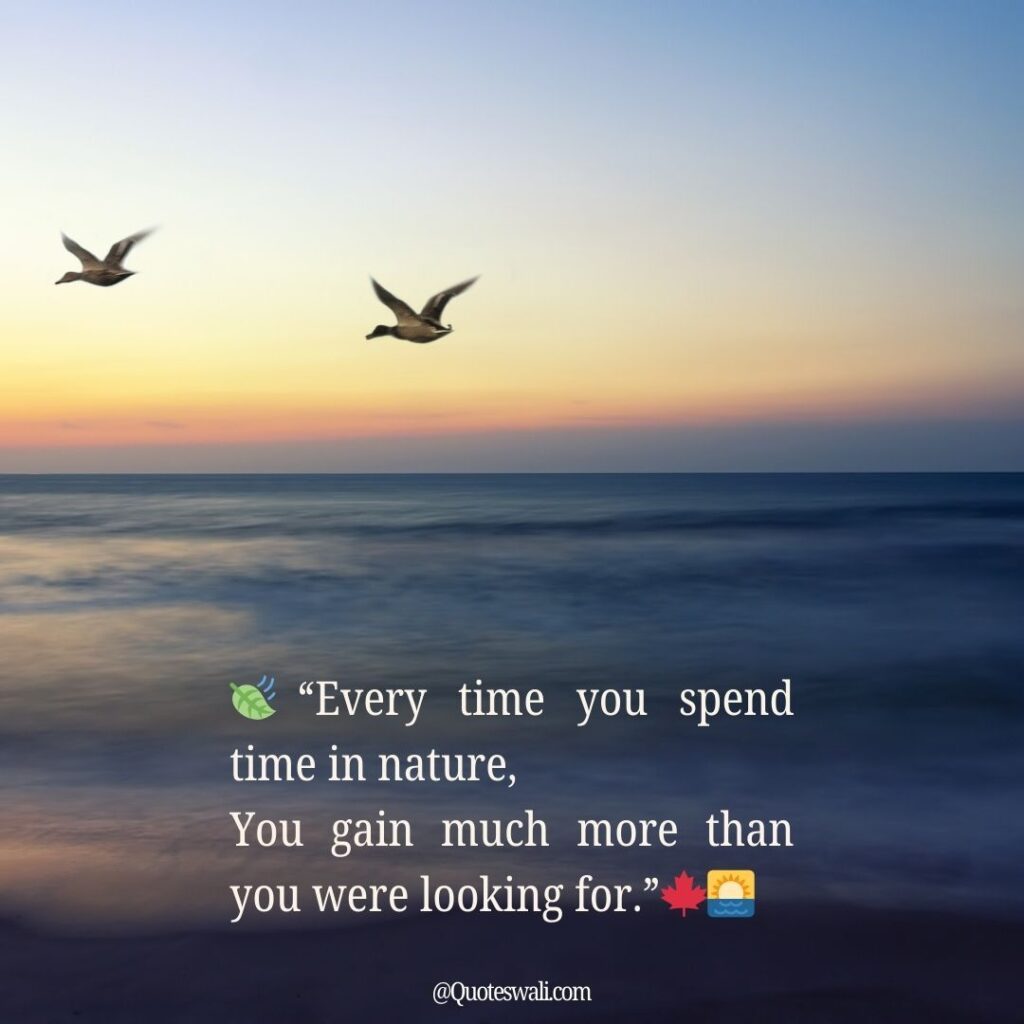 Nature Love Quotes for Instagram