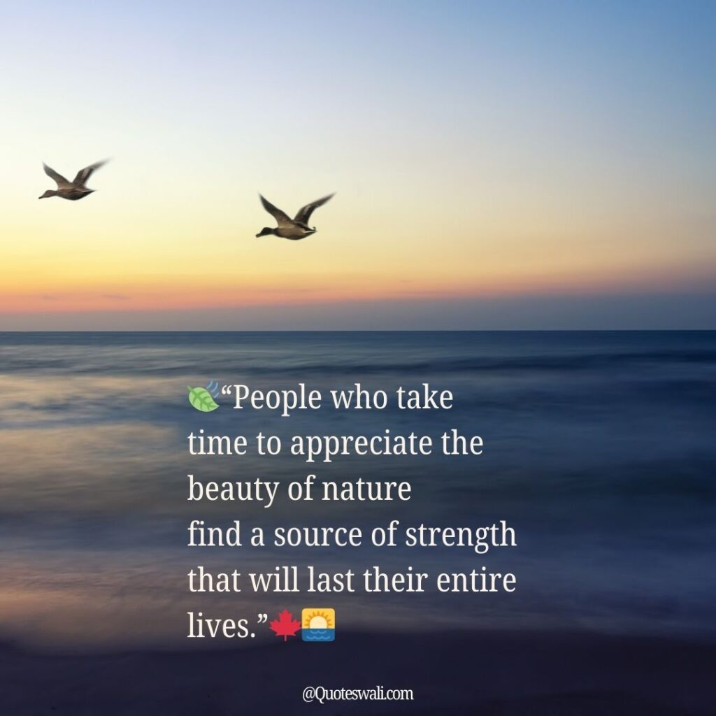 Nature Love Quotes for Instagram