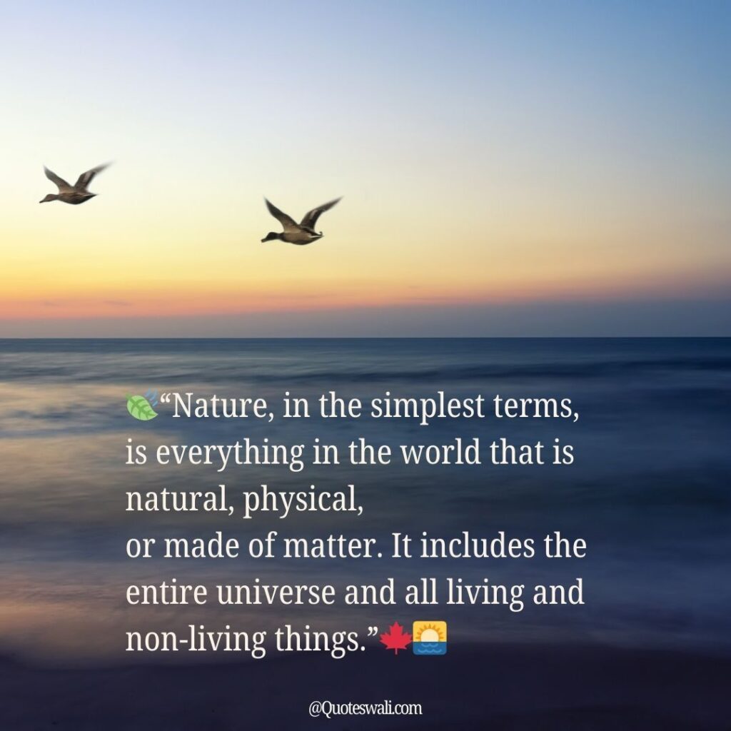 Nature Love Quotes for Instagram