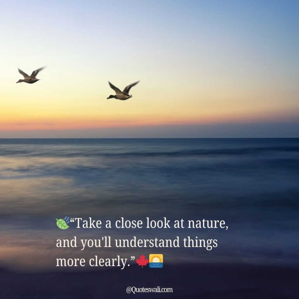 Nature Love Quotes for Instagram