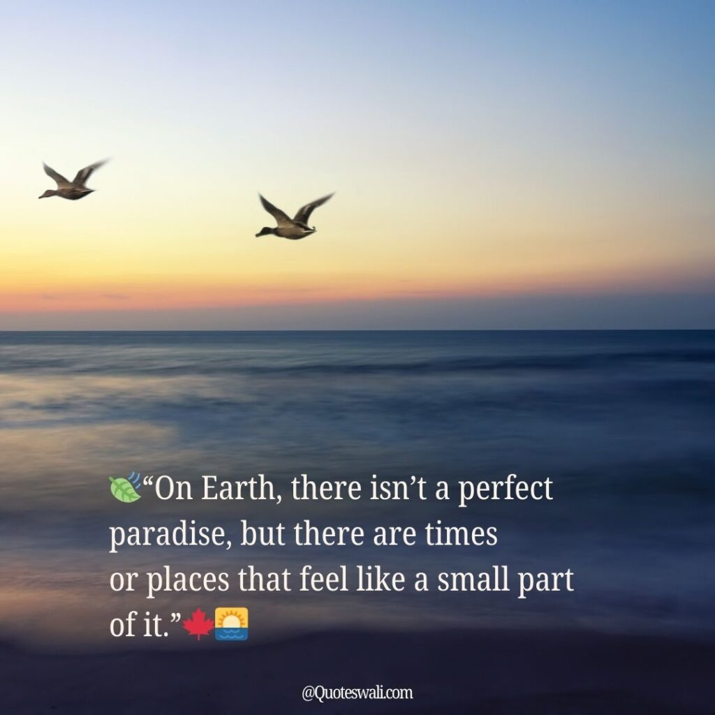 Nature Love Quotes for Instagram