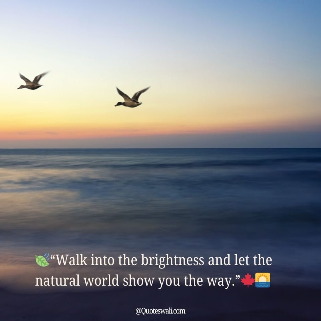 Nature Love Quotes for Instagram